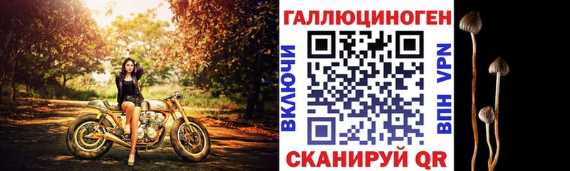 Купить  Чкаловск  Галлюциногенные грибы прущие грибы 